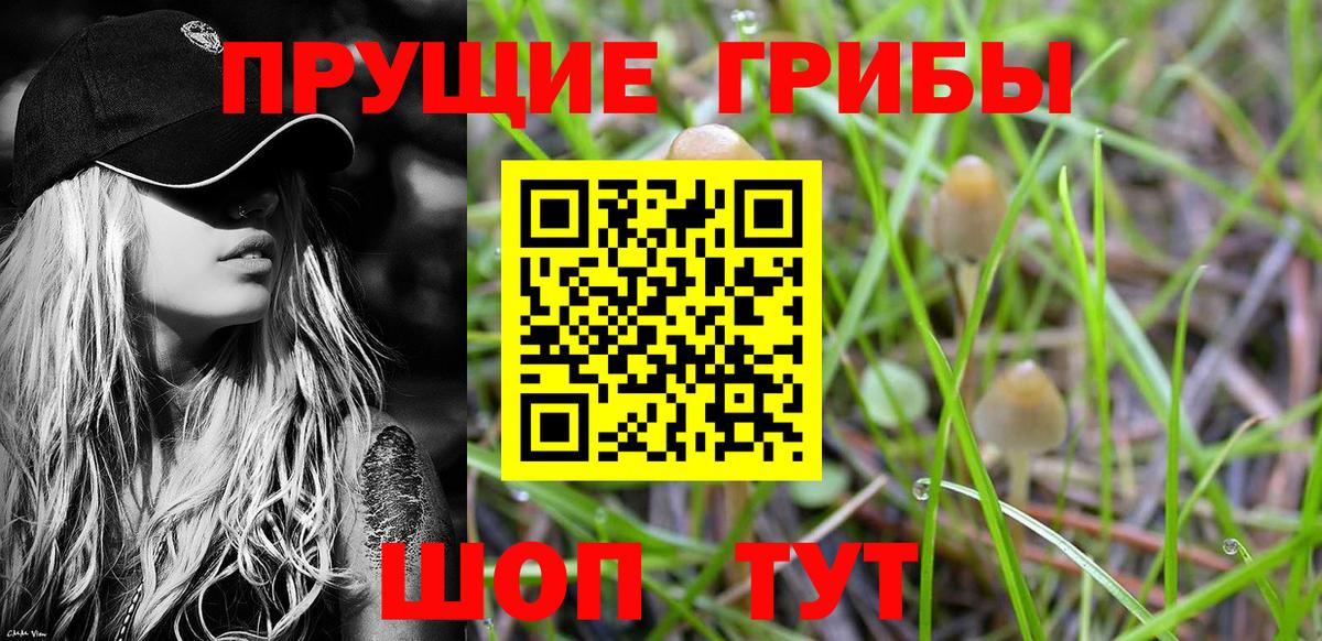 Протвино  Галлюциногенные грибы мухоморы  Галлюциногенные грибы Magic Shrooms  как найти закладки  Вход с VPN 