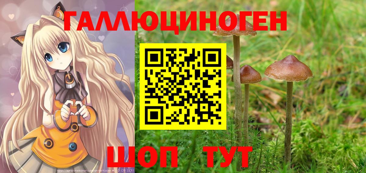 Галлюциногенные грибы Cubensis Протвино